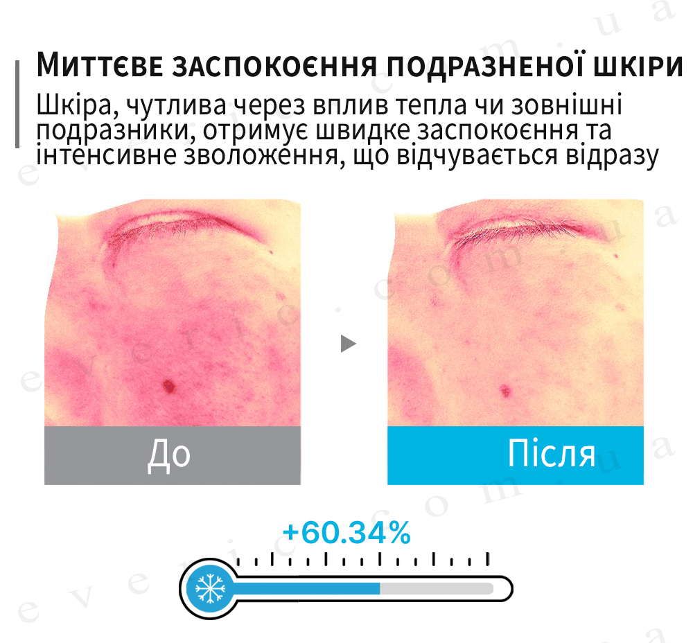 14 копия