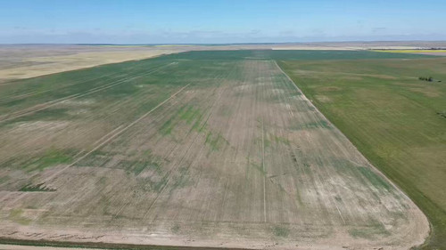 bhAA dZAWxHwmRJR.jpg