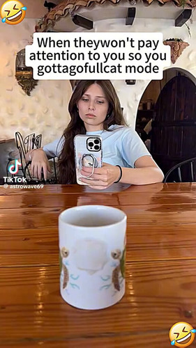 pA9oFJtPOgeb1joL.jpg