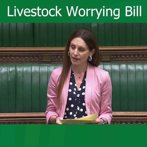 qA6 6 S2mZu1tnWk.jpg