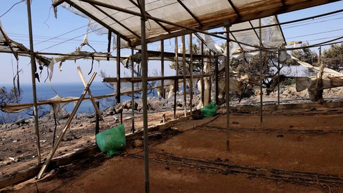 Rq 7FFBg7xHElE6S.jpg