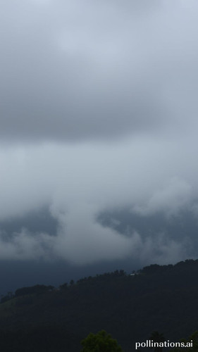 16f49ae90638.jpg