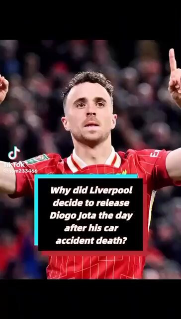 n0G2OkwWaCkxj dn.jpg