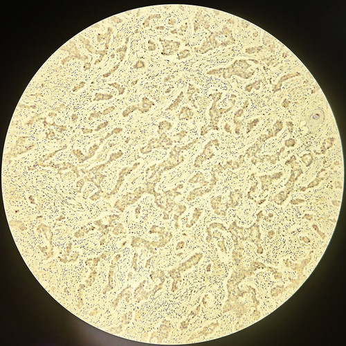 Gu 45U8W4AAs3P2.jpg