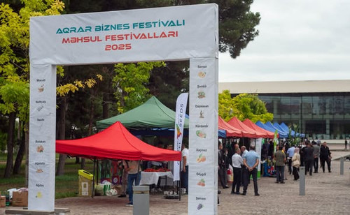 514336614 765788989133451 5339481820895634104 n.jpg?stp=dst jpg s600x600 tt6& nc cat=106&ccb=1 7& nc.jpg