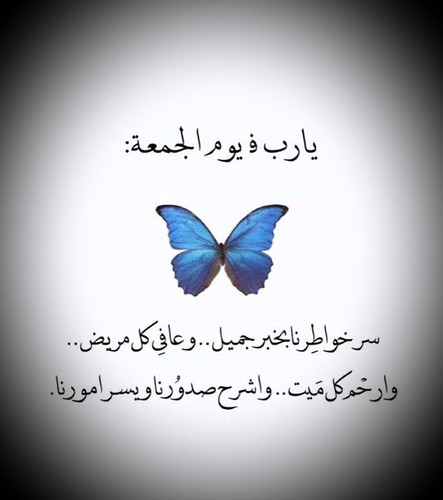GvAxK8OXYAAPslW.1