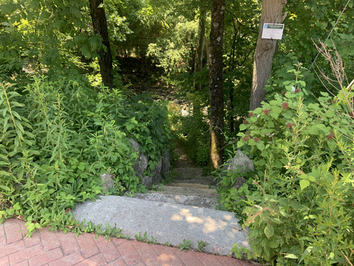 image0.1
