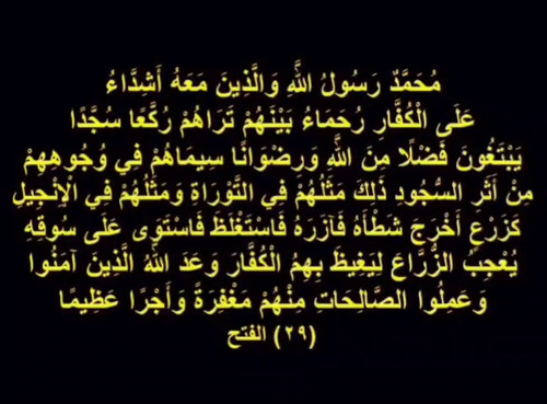 gdbVQbMT9V lfIR8.jpg