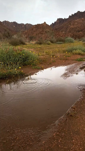 WrgUfieWq35h Tvx.jpg