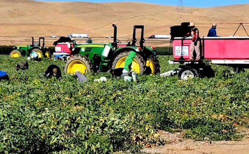 bURBrSUW zSHlYAT.jpg