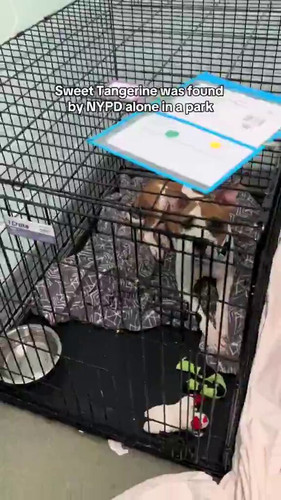 VKFhTz2s0uf NcGd.jpg