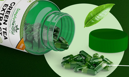 supplement2508.jpg