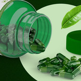 supplement2508