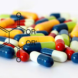 supplement2510