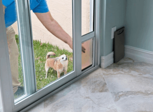 Elegant French Doors with Built-In Pet Access.gif