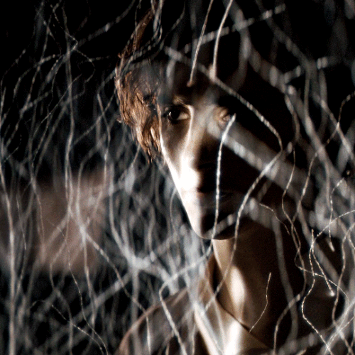 tumblr f9eac21f036702cf26ebeba2735114c1 e4bf6e3d 540.gif