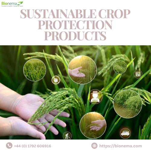 Sustainable Crop Protection Products for Eco-Friendly Farming.png