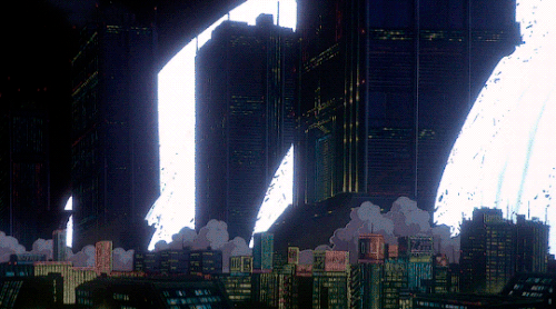 tumblr 0d20e2f9706ad2c092f8bc58682836e7 609bd58a 540.gif