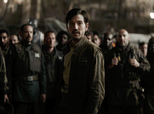 tumblr 2aa833267f084b1aefdf889a099159f8 35c8696d 540.gif