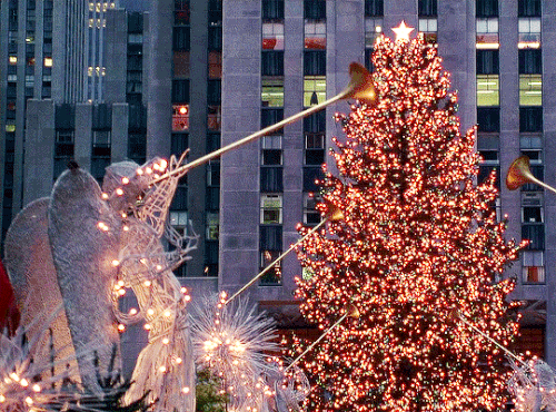 tumblr bfb406ca65847a13bc9c085ffbf38b3a 7dda8d6f 540.gif