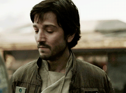 tumblr 5d38d45d87a35fc44fa0de31325fbbdb 251812be 540.gif