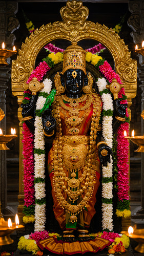 Lumii 20250604 214839455.jpg