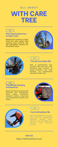 Plot Clearing Services in Cape Town.png