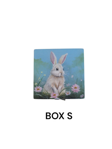 Box S.jpg