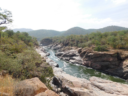 DSCN0583.jpg