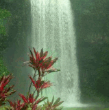 unnamed (16).gif