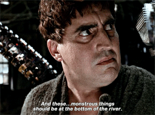 tumblr 99d6bb8903fb7a7a619329069182d8f9 ca978bac 540.gif