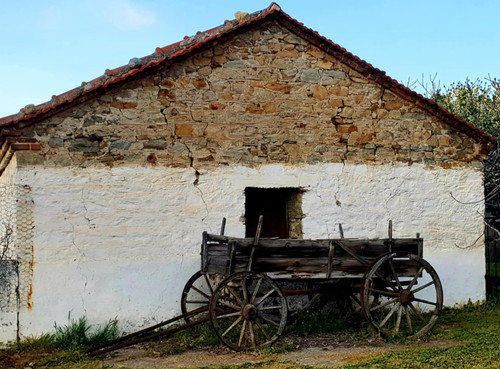 c3394cd1 4d42 4969 b551 8cecc547d7b3.jpg