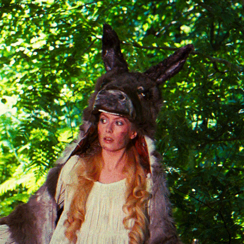 tumblr 9f80cb1a5fcc7a2527bbf80964fa72c8 54be59c7 540.gif