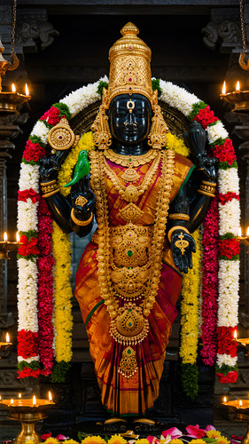 Lumii 20250604 232410963.jpg