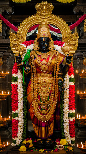 Lumii 20250604 232428232.jpg