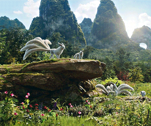 tumblr 3f3c6b4504c03ce868037ee19e5017a2 2b69feac 540.gif