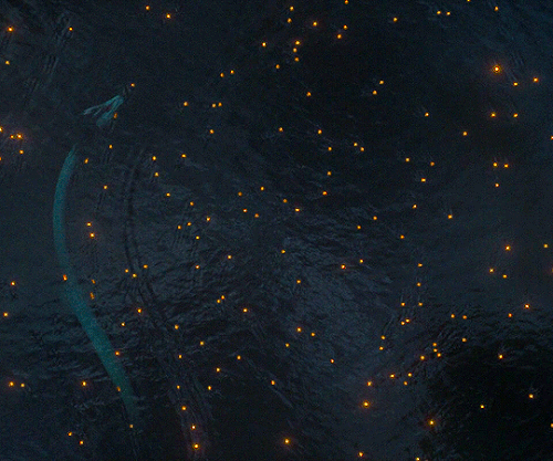 tumblr e2f07e8fd641ed597d193ddf8f4280c9 b3a152d0 540.gif