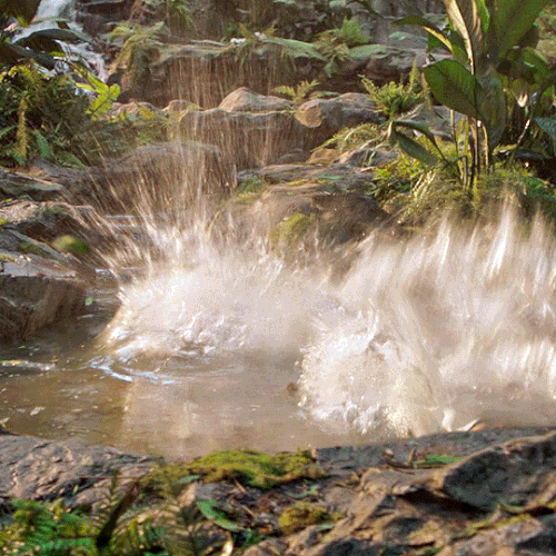 tumblr ed61adcf1a056d5a37072bf1480e04f3 d831ed5b 540.gif