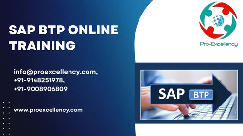 Certified SAP BTP Online Institute – Learn Anytime.jpg