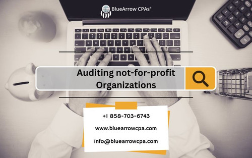 Auditing not for profit Organizations (1).jpg