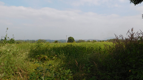 DSCN0300.jpg