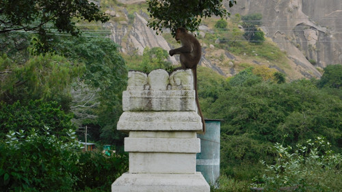 DSCN0226.jpg