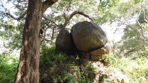 DSCN0264.jpg