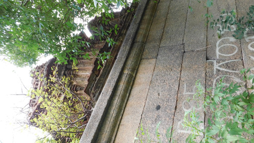 DSCN0271.jpg