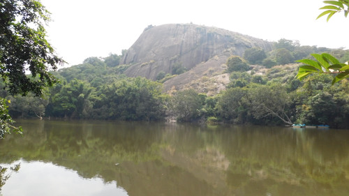 DSCN0281.jpg