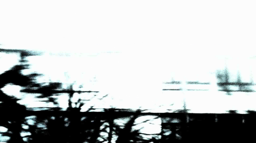 vlcsnap 2025 06 04 16h49m23s184.png
