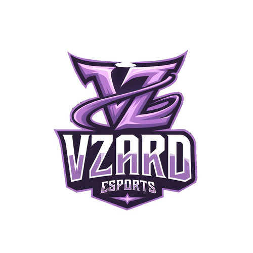 VZARD ESPORTS.jpg