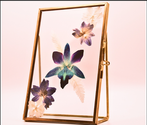 Pressed flower frame sydney.png