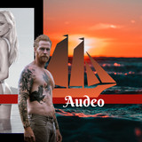 audeo chapter 14