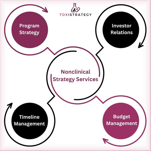 Enhance Drug Development with Expert Nonclinical Strategy Services | Toxistrategy.jpg